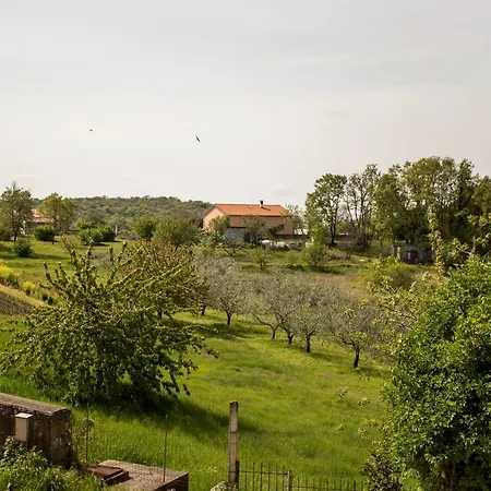 Affittacamere Lavanda *
